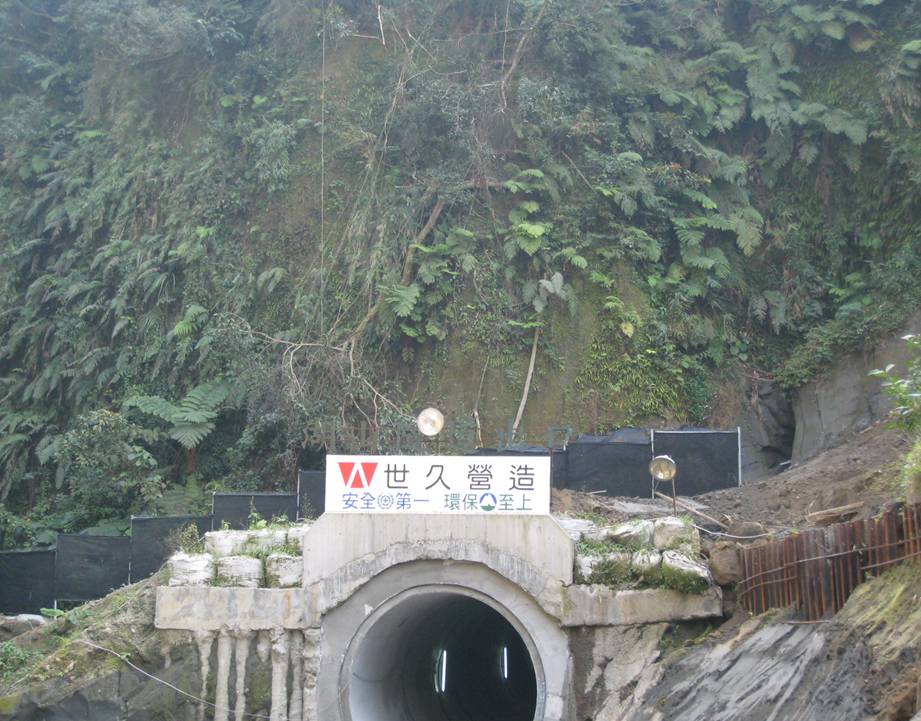 湖山隧道出口現地保留稀特有植物方式
